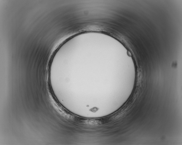 X0000114160795200911051504