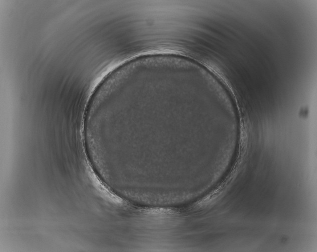 X0000114160797200911051503