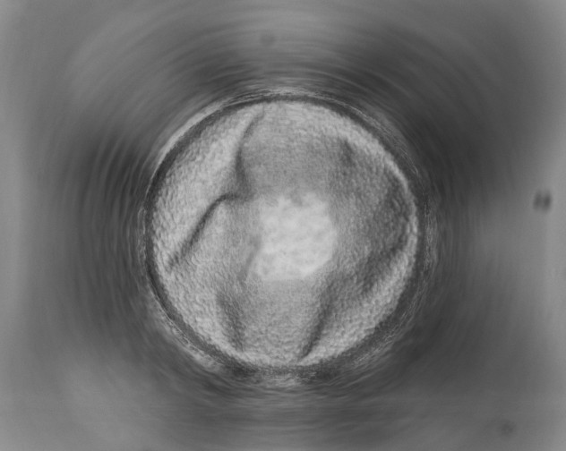 X0000114160798200911051503