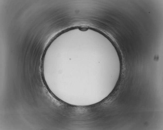 X0000114160799200911051503