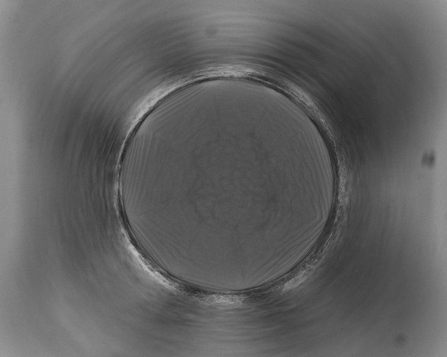 X0000114160802200911051503