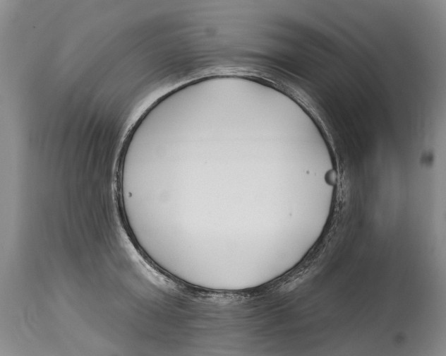 X0000114160803200911051503