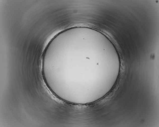 X0000114160804200911051503