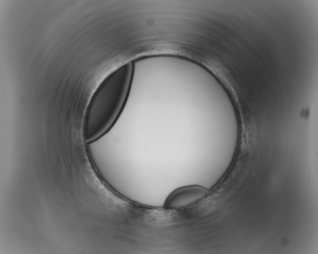 X0000114160805200911051503