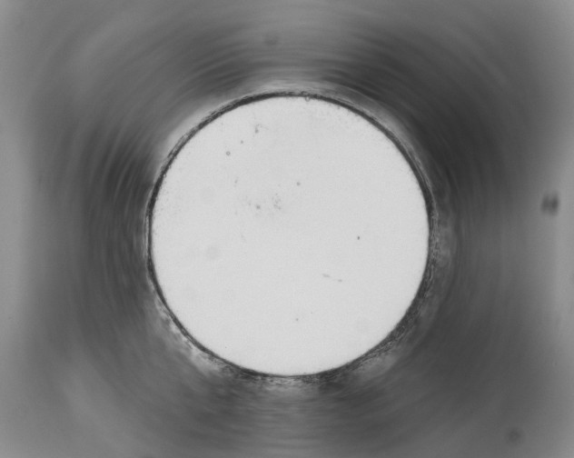 X0000114160807200911051503