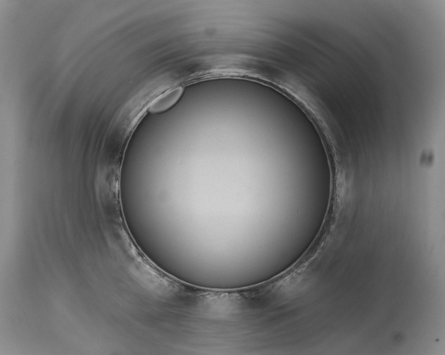 X0000114160809200911051503