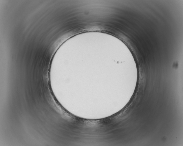 X0000114160810200911051503