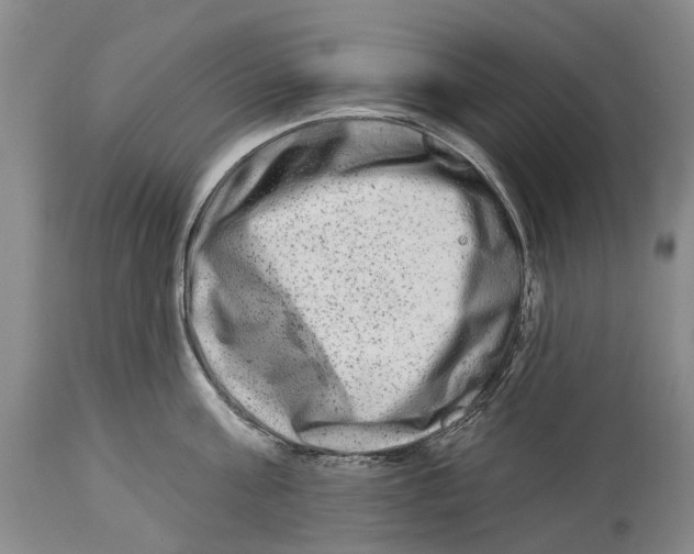 X0000114160811200911051503