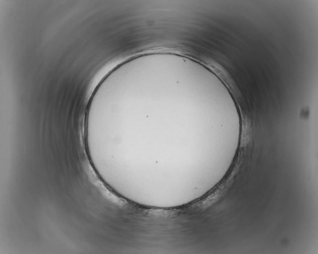 X0000114160812200911051503