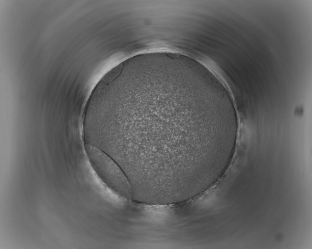 X0000114160813200911051503