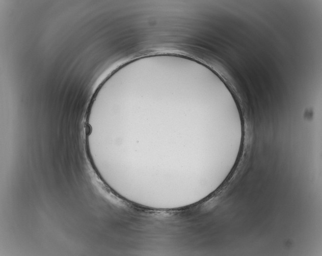 X0000114160814200911051503