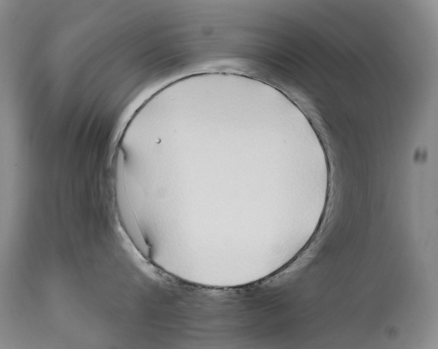 X0000114160816200911051503