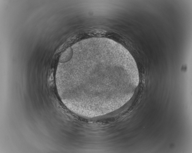 X0000114160818200911051503