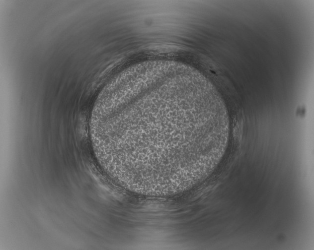 X0000114160819200911051503