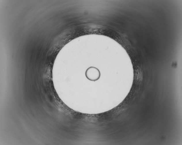 X0000114160820200911051503