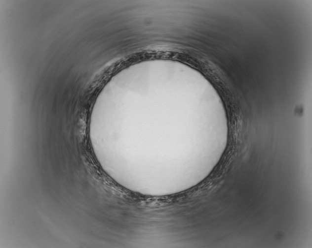 X0000114160821200911051503