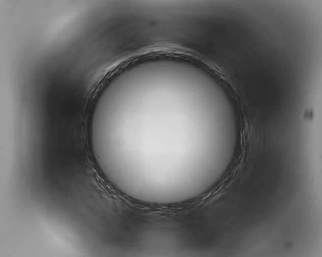 X0000114160822200911051503