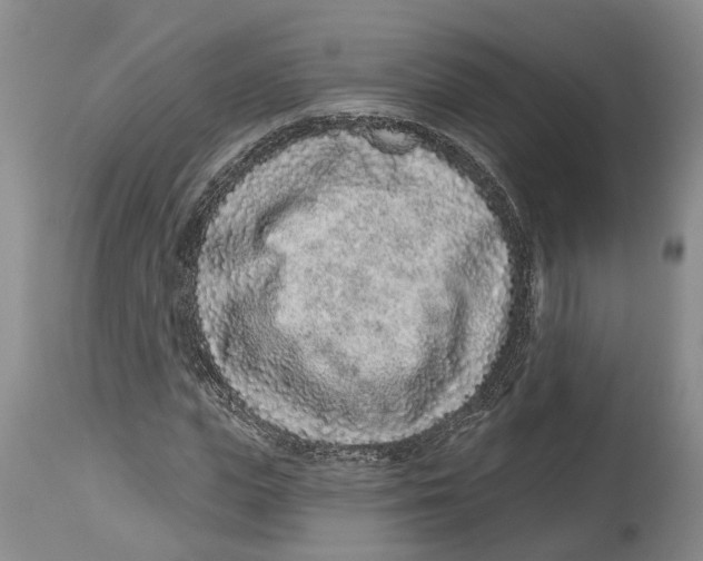 X0000114160823200911051503