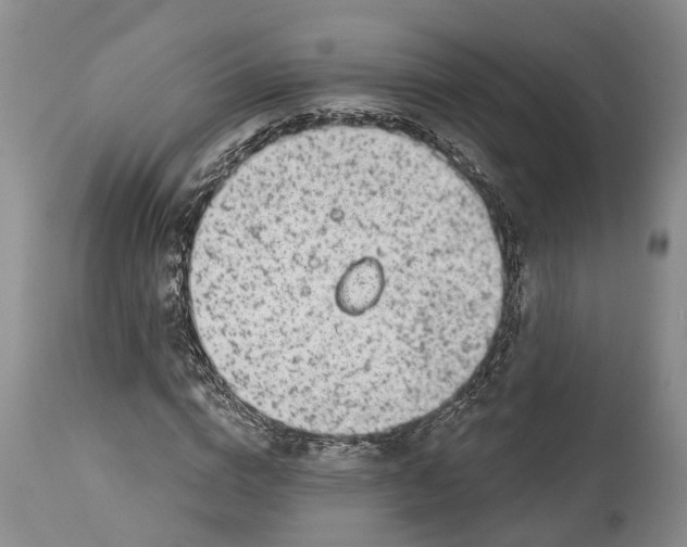 X0000114160824200911051503