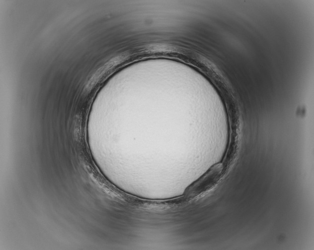 X0000114160825200911051503