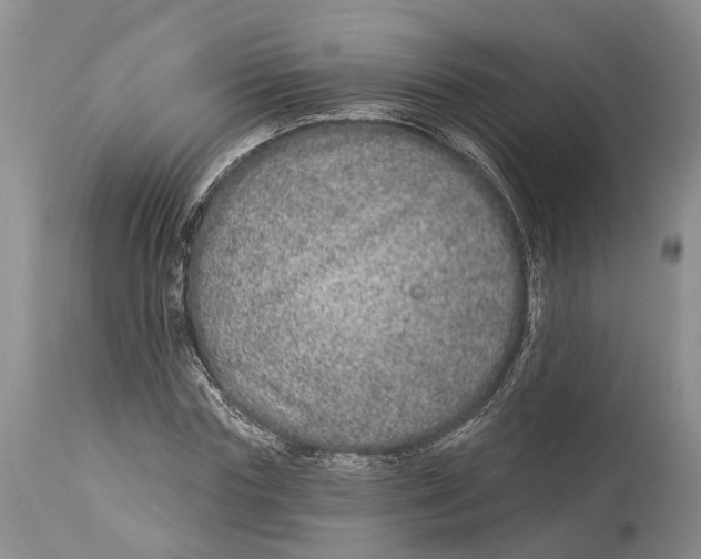 X0000114160827200911051503