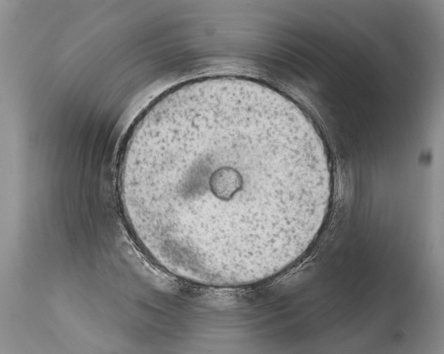 X0000114160828200911051503