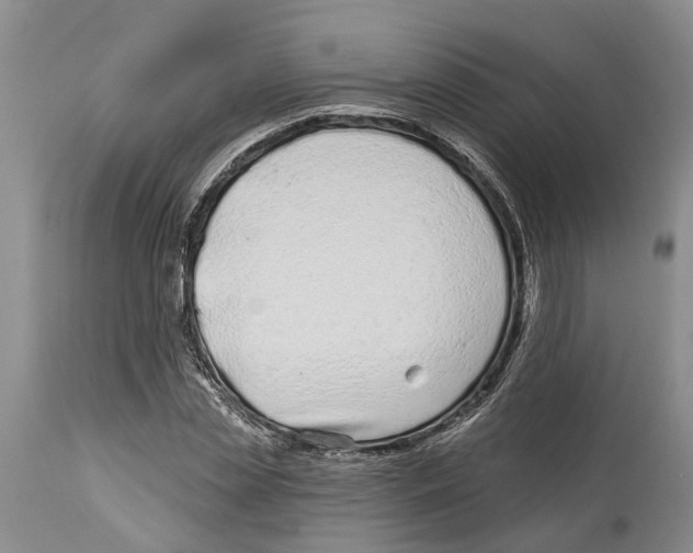 X0000114160829200911051503