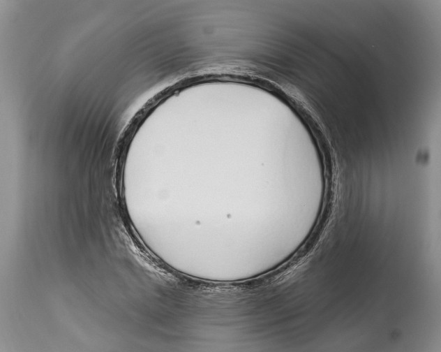 X0000114160830200911051503