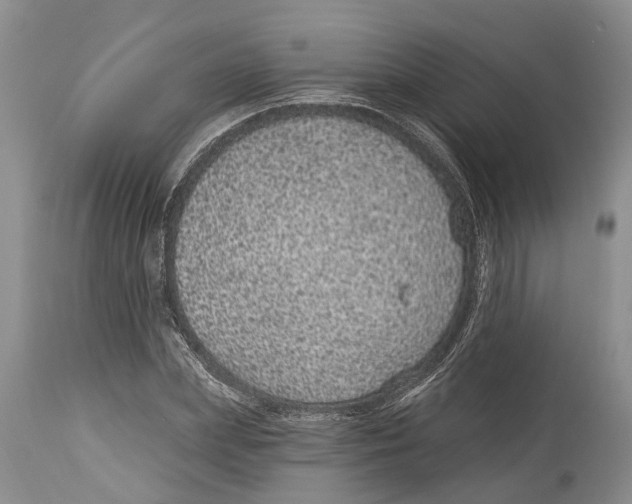 X0000114160831200911051503