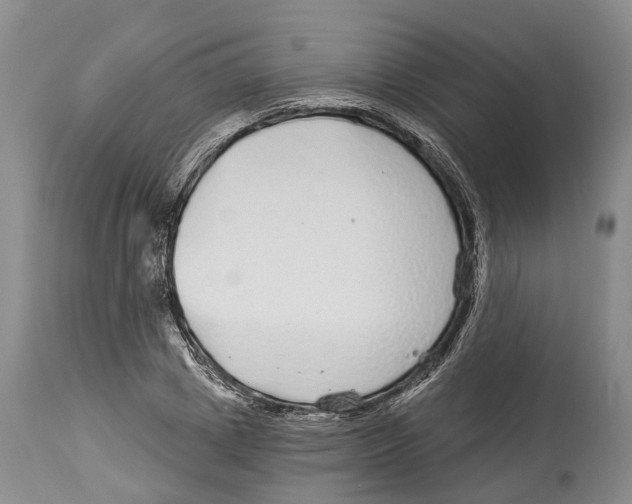 X0000114160833200911051503