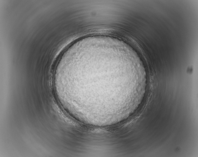 X0000114160835200911051503