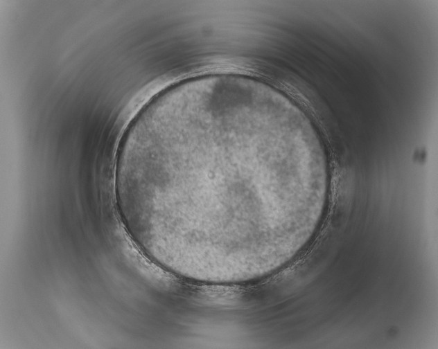 X0000114160836200911051503