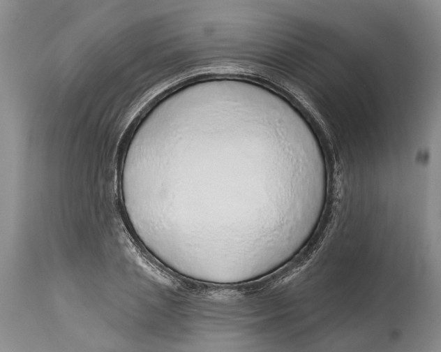 X0000114160837200911051503