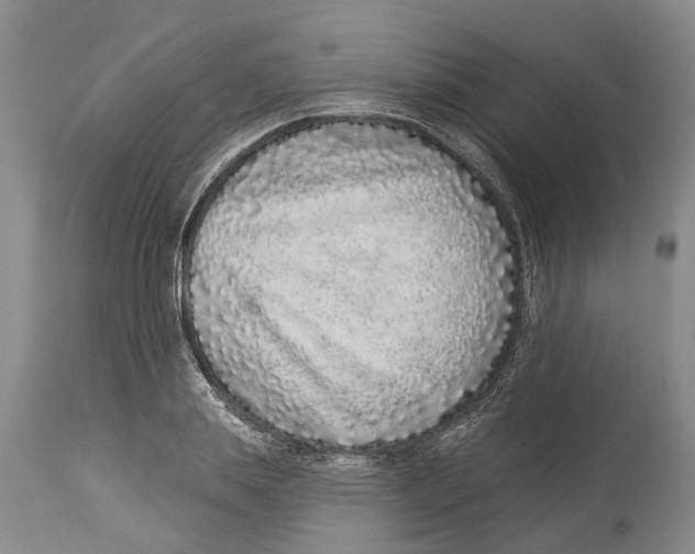 X0000114160839200911051503