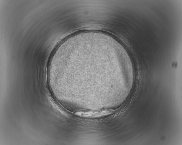 X0000114160840200911051503