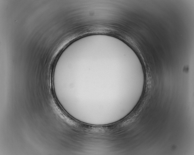 X0000114160843200911051503