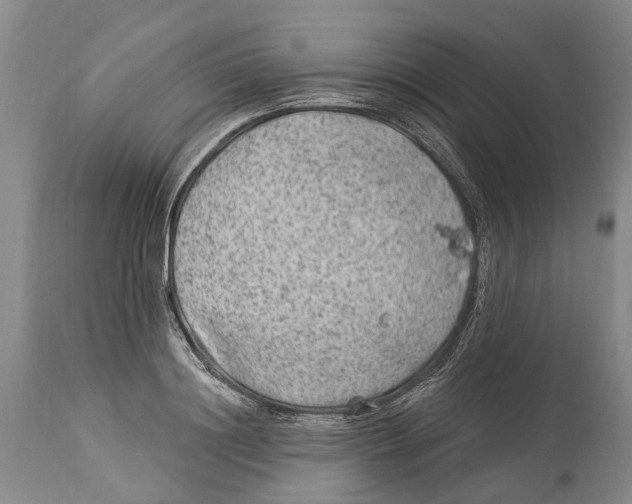 X0000114160844200911051503