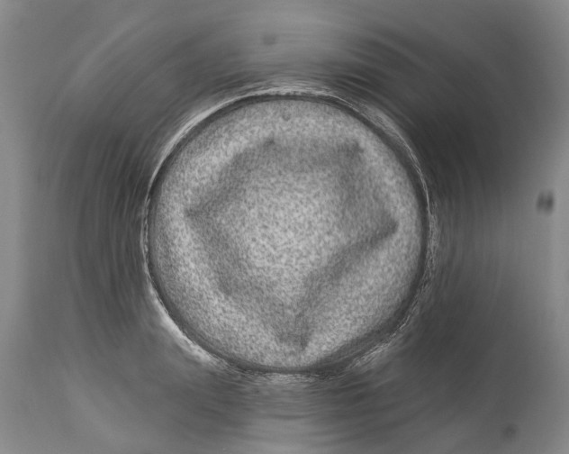 X0000114160847200911051503