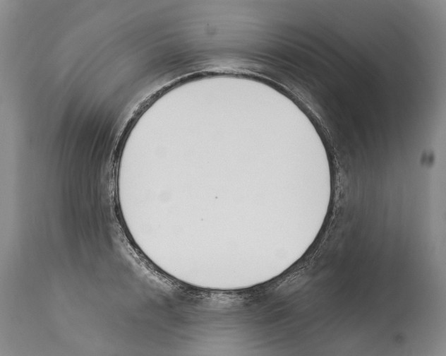 X0000114160848200911051503