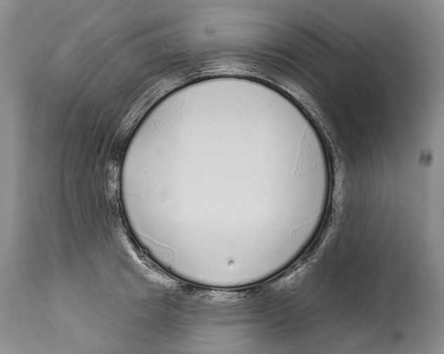 X0000114160849200911051503