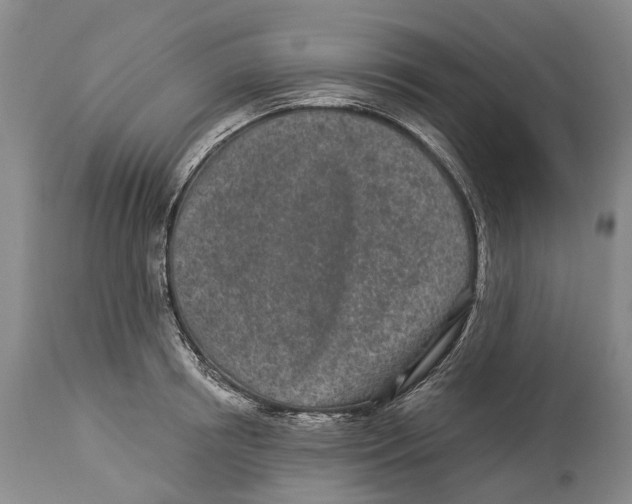 X0000114160850200911051503