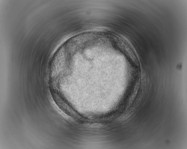 X0000114160851200911051503