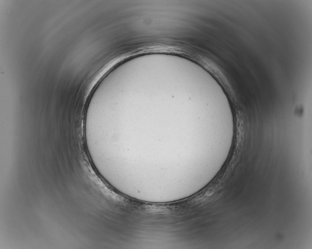 X0000114160852200911051503