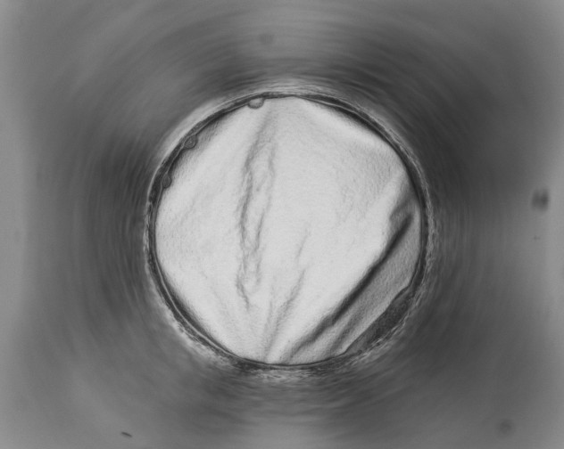 X0000114160853200911051503