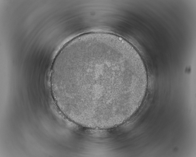 X0000114160856200911051503