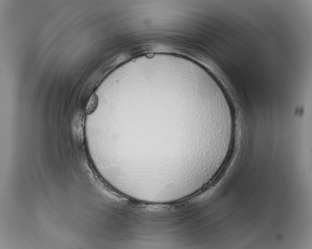 X0000114160857200911051503