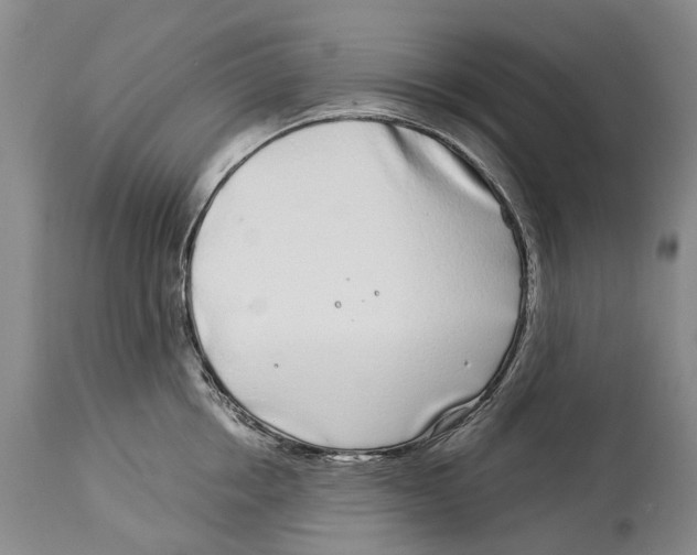 X0000114160858200911051503