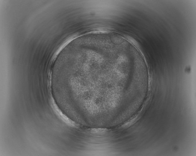 X0000114160859200911051503