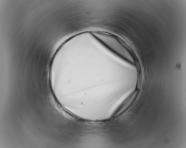 X0000114160862200911051503