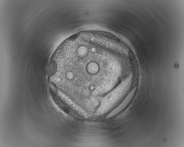 X0000114160863200911051503